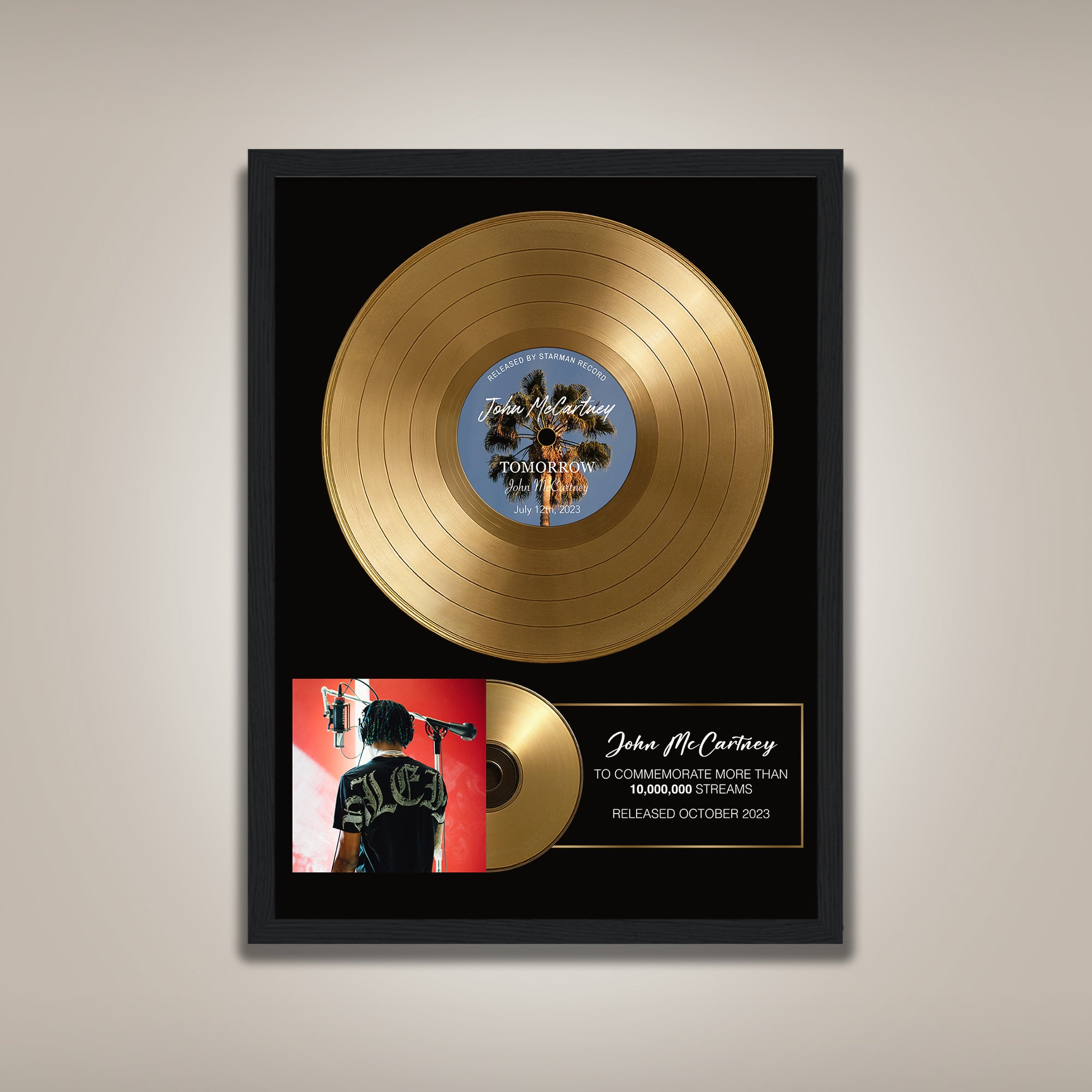 Personalized Plaque, Custom Plaque, Vinyl Record Plaque, Framed Poster Award, Personalized Vinyl, Music Gift, Music Plaque custom