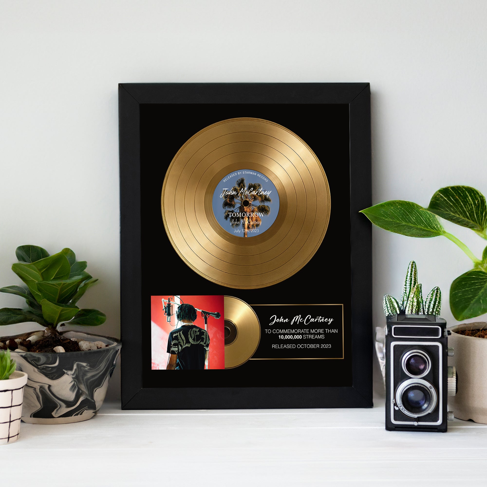 Personalized Plaque, Custom Plaque, Vinyl Record Plaque, Framed Poster Award, Personalized Vinyl, Music Gift, Music Plaque custom